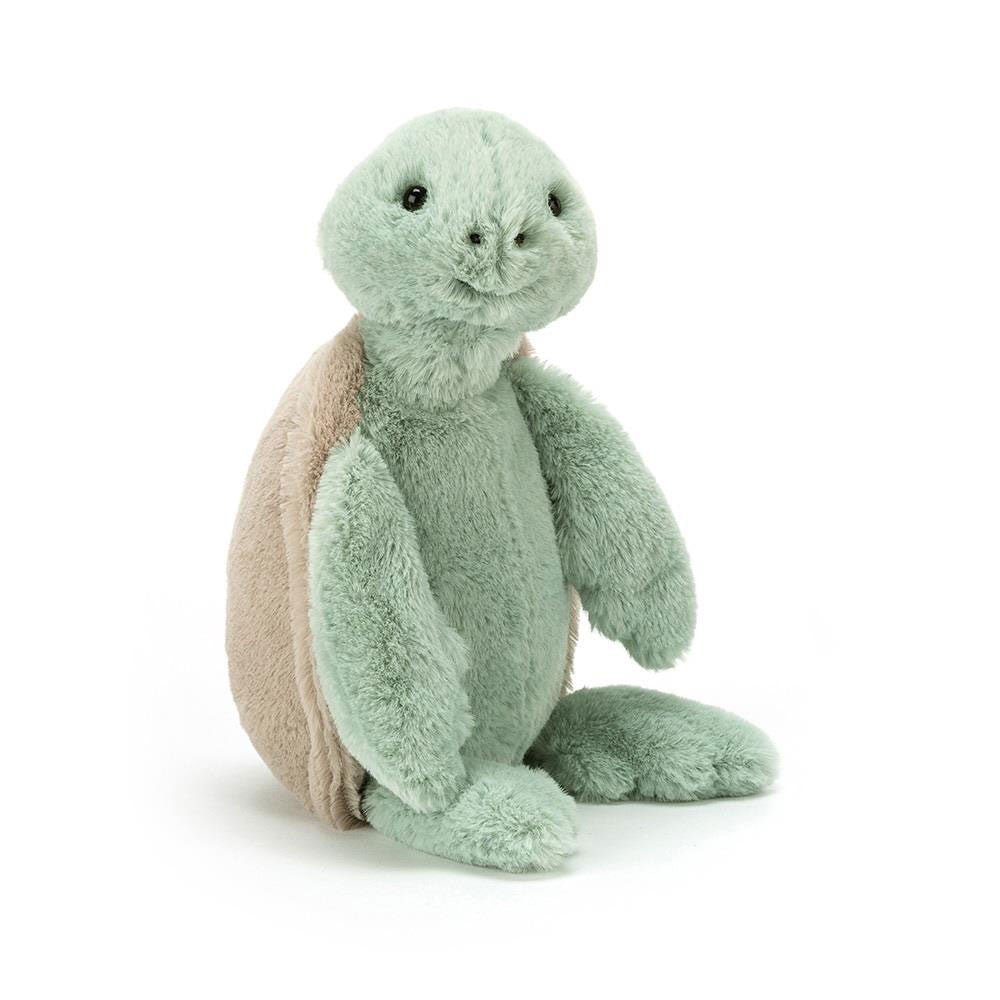 Bashful Turtle Little, Main View