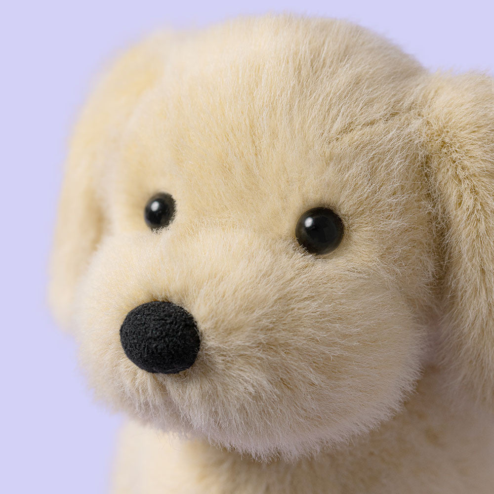 Golden Puppy, View 1