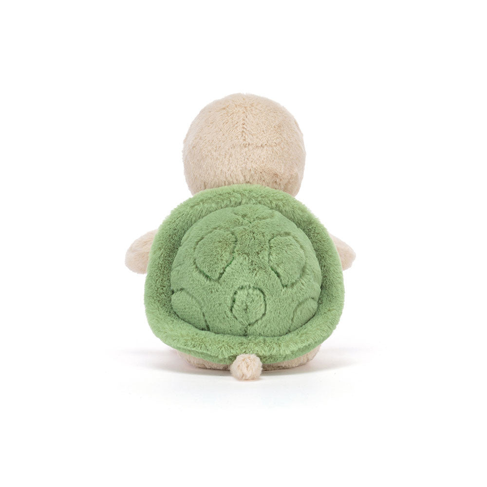 Thimble Turtle, View 3